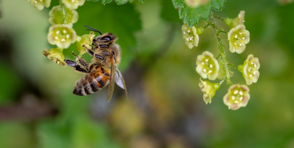 Atrakcje dla dzieci w okolicy Katowic