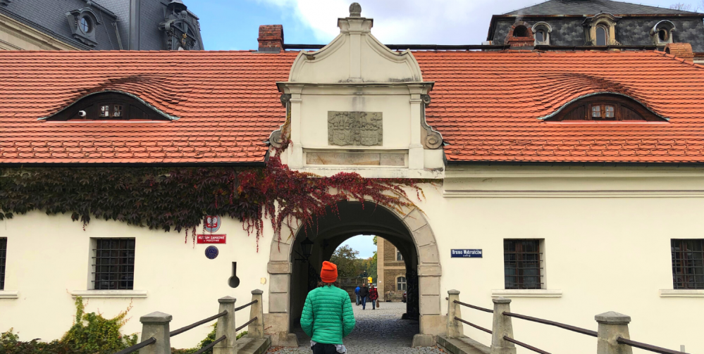 Najlepsze atrakcje dla dzieci w Pszczynie