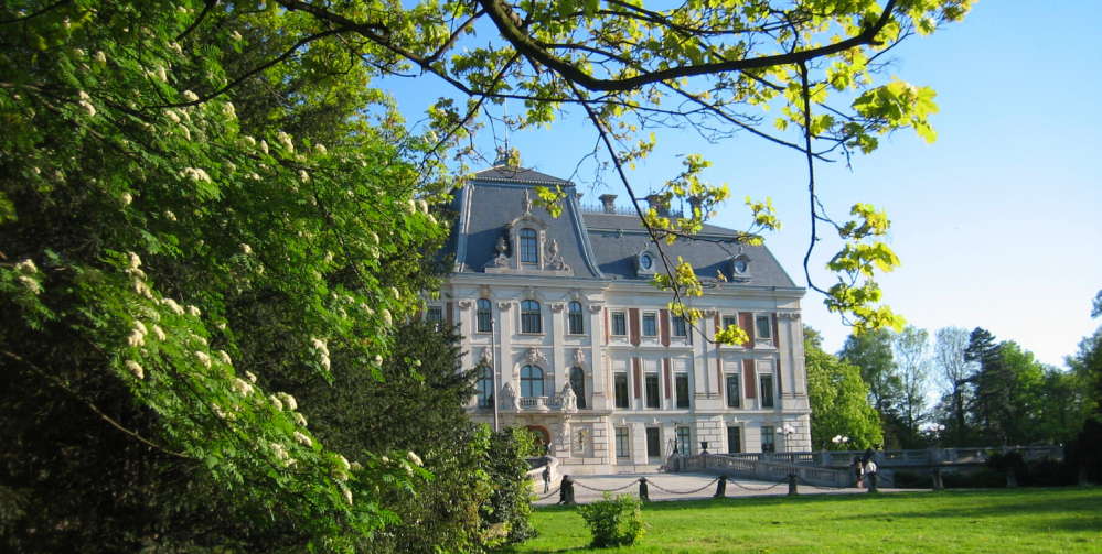 Najlepsze atrakcje dla dzieci w Pszczynie