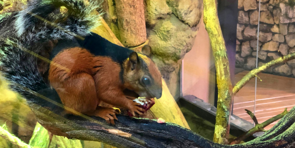 Wypoczynek z rodziną na Górnym Śląsku