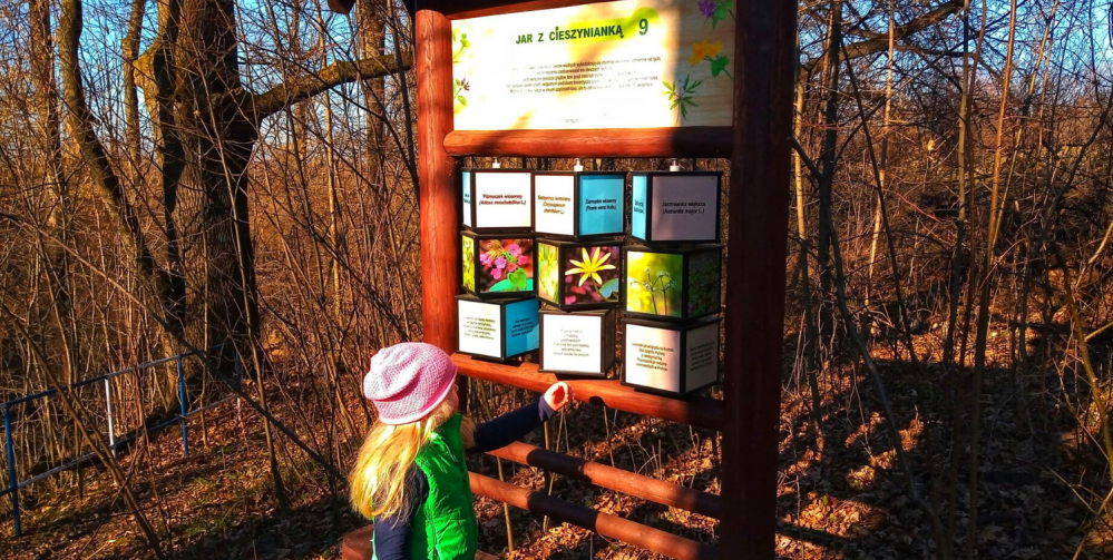 Atrakacje na pogodę