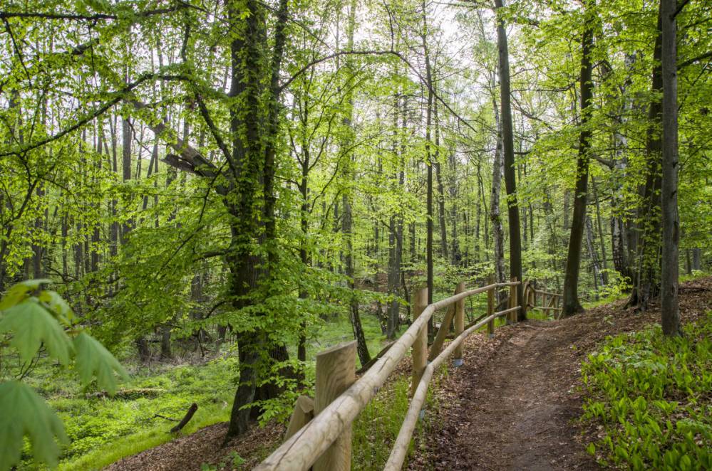 Szwajcaria Rachowicka